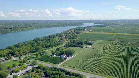 Aerial view of vineyards in Niagara on the Lake set upon The Niagara River (Lake Ontario)