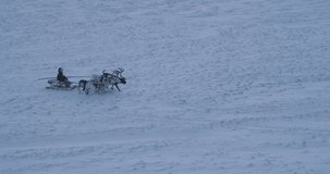 Wonderful video of a man on a sleigh have a ride with beautiful reindeers in the middle of Arctic