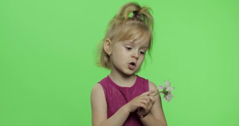 Positive girl holds chamomile flower and talking to a camera with expression in purple dress. Happy four years old girl. Pretty little blonde child. Make faces and smile. Green screen. Chroma Key