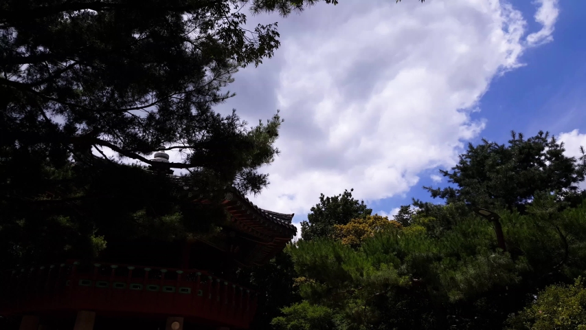 trees swaying in the blue sky, clouds, and wind.