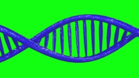 Blue helix spiral human DNA molecules structure, abstract green screen background. 
Concept of medical science, genetic code, biotechnology. 3d animation chroma key in 4k - Powered by Shutterstock - Get 15% off with code: PIKWIZARD15