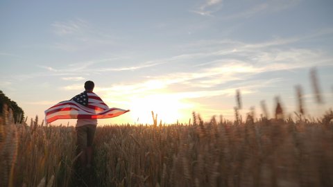 Rear view: Man walking with flag of USA in the hands in the wheat field, celebrating the Fourth of July. Slow motion steadicam shot