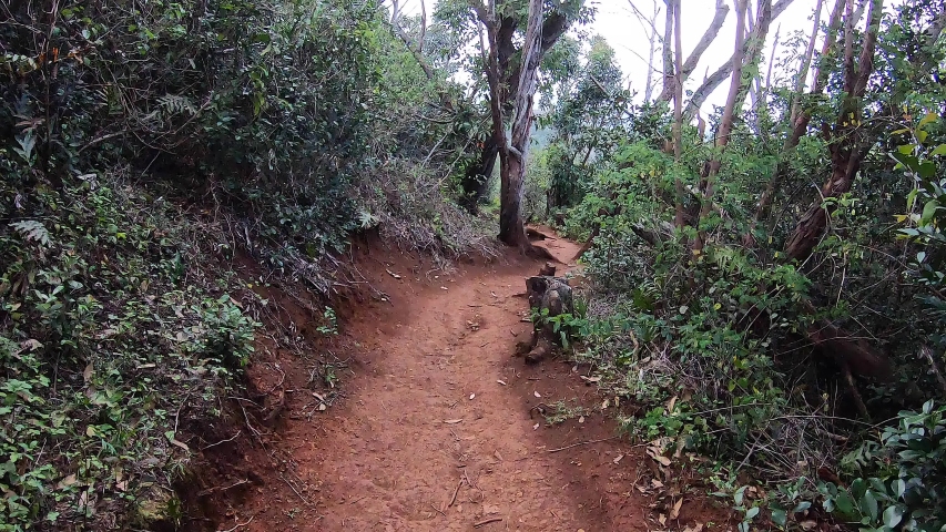 Hyperlapse Hiking the Sleeping Giant Trail Head in Kauai, Hawaii.