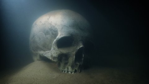 Skull Underwater In Shimmering Light