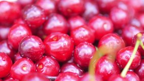 Closeup of water droplets on fresh cherries. Tasty and healthy fruits. Rotation 360. 4K UHD video
