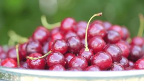 Closeup of water droplets on fresh cherries on natural green background. Tasty and healthy fruits. 4K UHD video