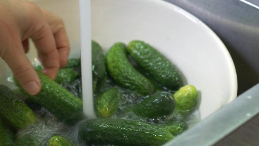 Cucumbers are washed in clear water.