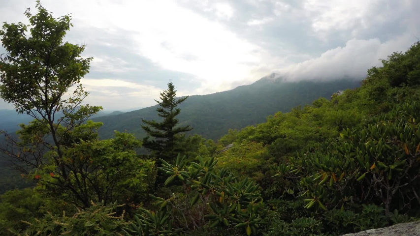 Rough ridge overlook viewing area off blue ridge parkway