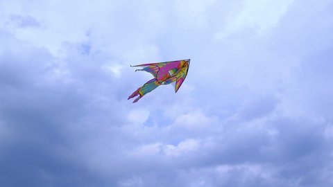 kite flies across the sky
