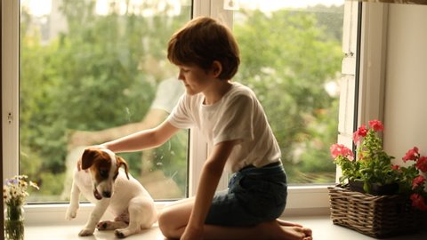 Puppy playing bites the child by the hand while sitting on the window. 