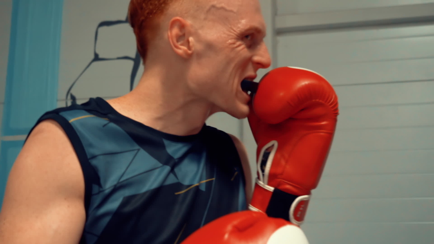 boxing glove inserts