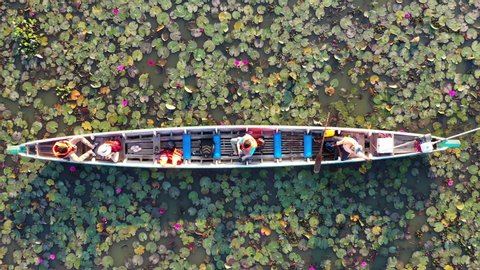 Aerial view of a boat in red lotus pond at Phatthalung, Thailand.