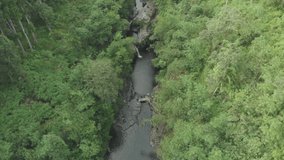 River and Forest View of Baturaden, Central Java, Indonesia. Beautiful Asia. Nature. High Quality. Aerial Video.