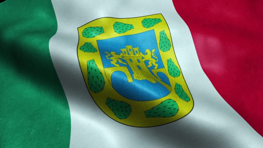 Flag of the Mexico State of Mexico City Seamless Looping Waving Animation