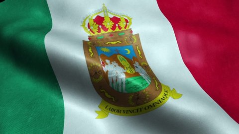 Flag of the Mexico State of Zacatecas Seamless Looping Waving Animation