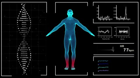 Futuristic HUD Medicine Screen Data. 3D rendered looping animation of rotating DNA. Scanning of a human body model using nano technologies in medicine. Cardiogram. Bio technology in digital display.