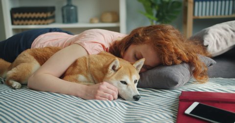 Attractive young woman and cute shiba inu dog are sleeping together at home on bed hugging enjoying relaxation. Humans and animals friendship concept.