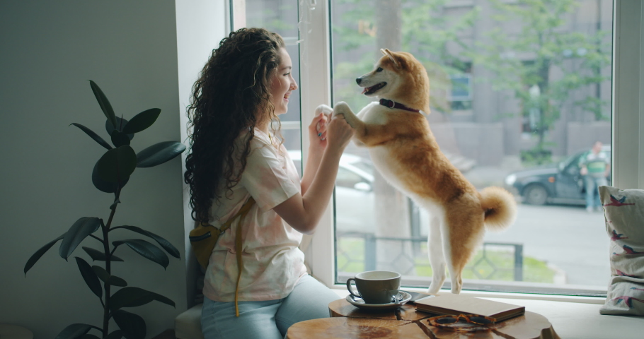 Happy young woman is dancing with pet dog sitting on window sill in cafe having fun enjoying music and animal. Modern lifestyle, people and youth concept. Royalty-Free Stock Footage #1033754762