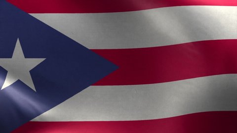 Flag of Puerto Rico Loop