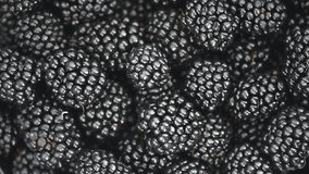 Blackberry closeup background. Fresh Ripe organic black berries rotation backdrop close-up. Bio Blackberries top view, flat lay background. Macro shot. Market. Vegan food. Slow motion 4K UHD video