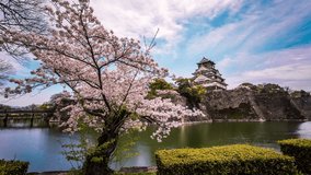 Cherry blossoms at Osaka Castle time lapse