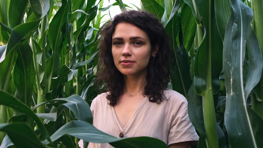 Portrait beautiful hipster girl with curly hair in a corn field. A woman making her way through the green branches of the leaves. A female tourist walks through beautiful places of nature