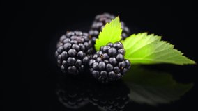 Blackberry closeup. Fresh Ripe organic black berries rotation on black background, close-up. Detailed closeup Blackberries with leaf isolated on black backdrop. Vegan food. 4K UHD video