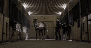 MED Handsome Caucasian male saddling up his horse inside stables. Shot on RED Helium. 4K UHD RAW graded footage