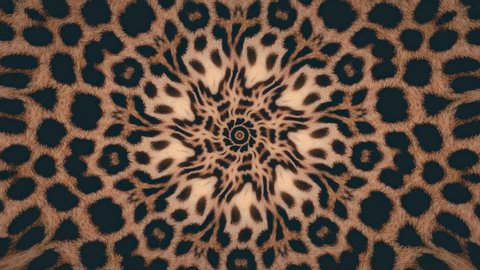 Loop. Abstract kaleidoscope background. Beautiful multicolor kaleidoscope texture. Unique mandala design. Tessellation in motion.