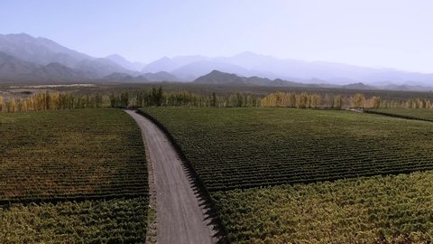 Dramatic aerial drone footage of winery in Mendoza, Argentina