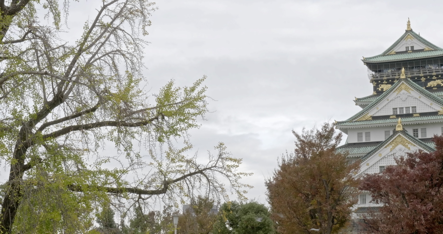 Osaka Castle Japan. Landmark Attraction and Historic Place from 16th Century, View From Garden With Autumn Leaves Colors, Pan Shot