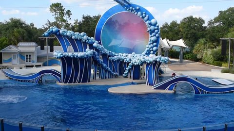 Orlando, Florida. July 20, 2019. Dolphins jumping at Seaworld 2