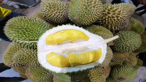 Durian Musang King Stock Video Footage 4k And Hd Video Clips Shutterstock