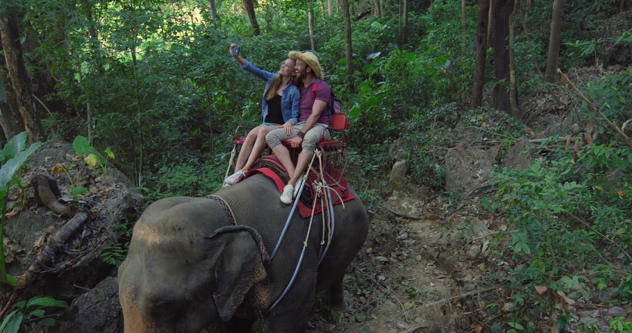 Couple tourist riding elephant and taking photo with smartphone on tour in lush green forest in Thailand Asia. Hand held slow motion. 