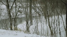 snowstorm. freezing water on the river. the branches of the trees are hard