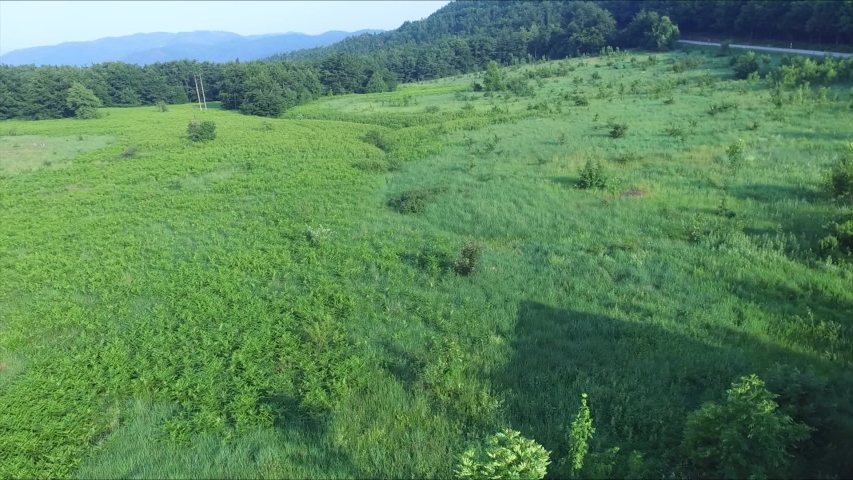 A beautiful landscape next to the old and abandoned house