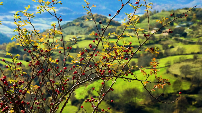 Andorra. A very small country in the Pyrenees, on the border between France and Spain. 4K