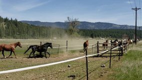 herd of horses in the pen in the mountains - Powered by Shutterstock - Get 15% off with code: PIKWIZARD15