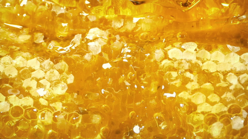 Thick Honey Dripping Down Honeycomb Royalty-Free Stock Footage #1033867454