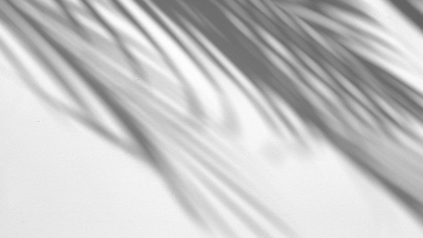 Closeup the motion of shadow palm leaves on a white wall background. | Shutterstock HD Video #1033869425