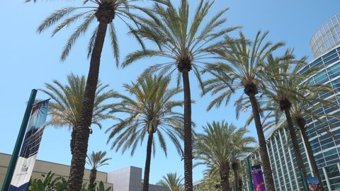 Anaheim, CA / USA - July 22, 2019: Pan from exotic palm trees to the Anaheim Convention Center on a beautiful sunny day with blue sky