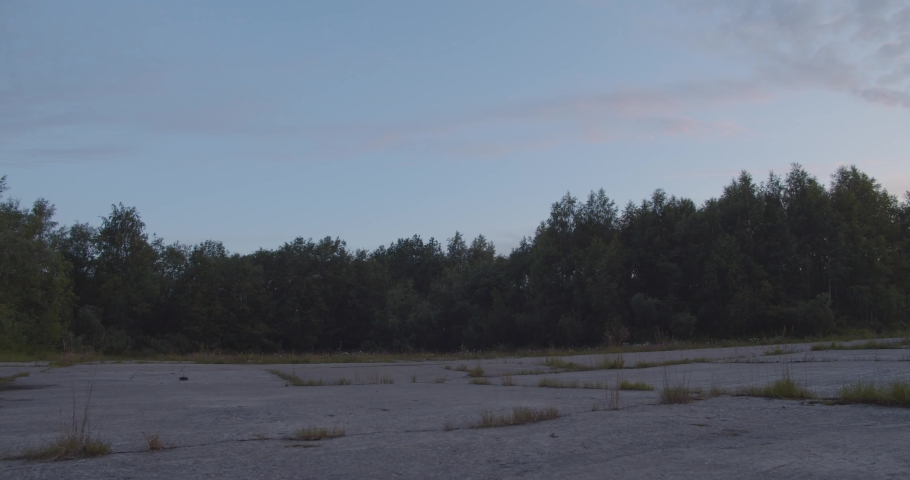 Early morning panorama in forest with beautiful sunrise	