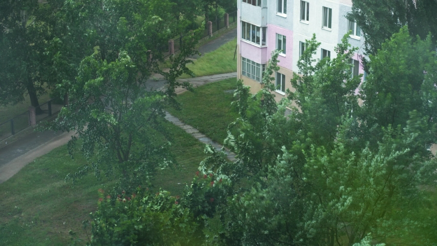 Branches of a green tree, blown up by strong gusts of winds against the background of a panel high-rise building. Cloudy rainy weather.