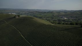 Aerial Drone footage view of vineyard Langhe, Piemonte, in Italy // no video editing
