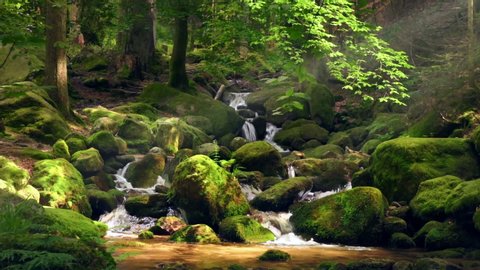 Mountain creek flowing through a beautiful green forest and moss-covered rocks, illuminated by warm sunrays