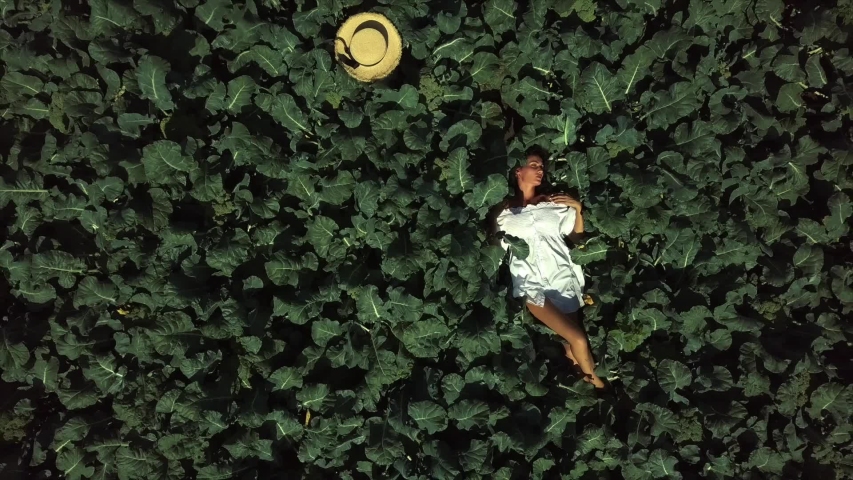 top view of a sexy woman lying on a green field