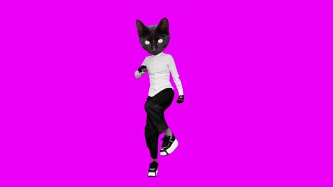 Gif animation design. Black Kitty office style dancing on pink background