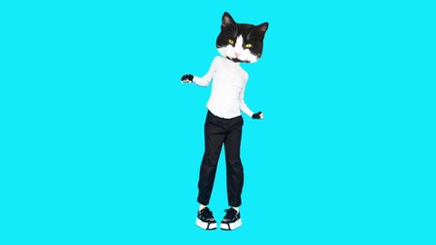 Gif animation design. Kitty Office Style dancing