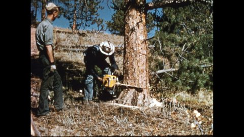1960s: Men move jackhammer on dam construction site. Men use chainsaw to cut trees in forest valley.