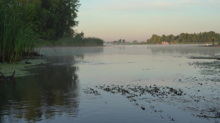 Sunrise over the river. Fog in the morning over the river. Trees over the river. Landscape.